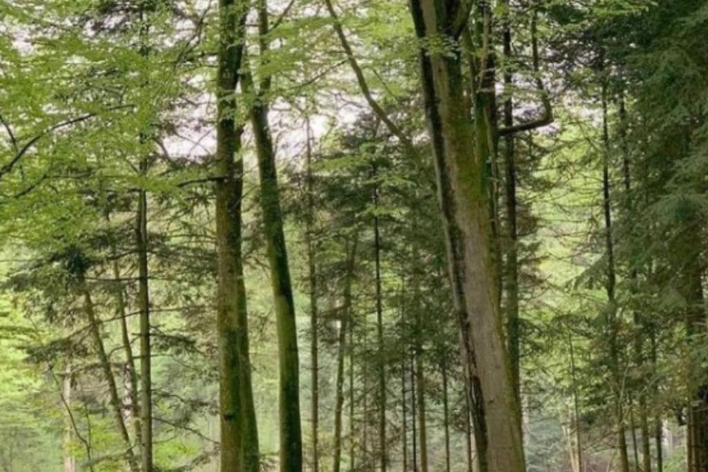 Smuk Lejlighed Skanderborg Dış mekan fotoğraf